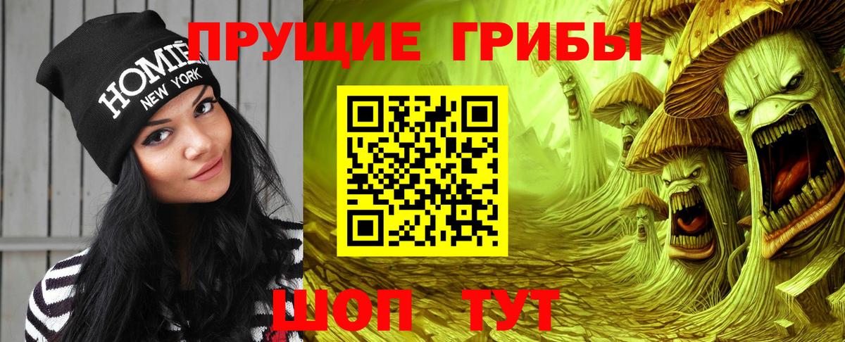 Псилоцибиновые грибы мицелий Сатка